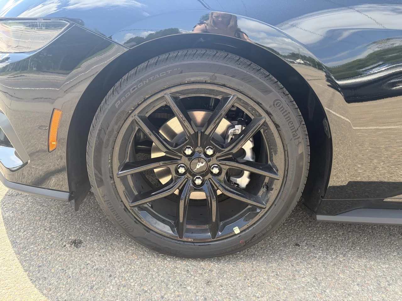 2026 Ford Mustang EcoBoost https://www.st-norbertford.com/resize/b990ff35b810a3abc0cc817b2ca24889-1