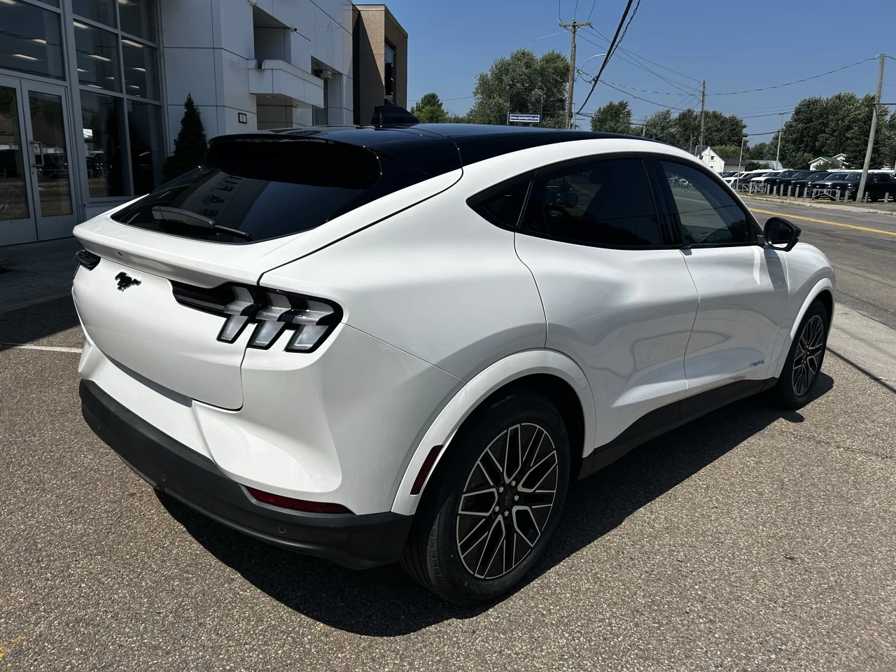 2025 Ford Mustang Mach-E PREMIUM https://www.st-norbertford.com/resize/b990ff35b810a3abc0cc817b2ca24889-1