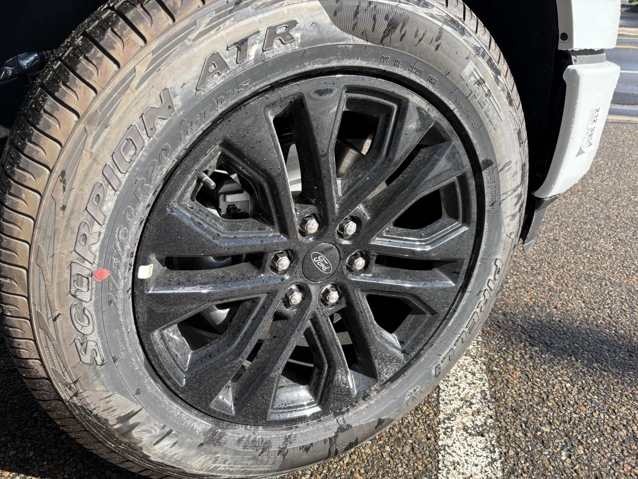 2026 Ford F-150 XLT Main Image