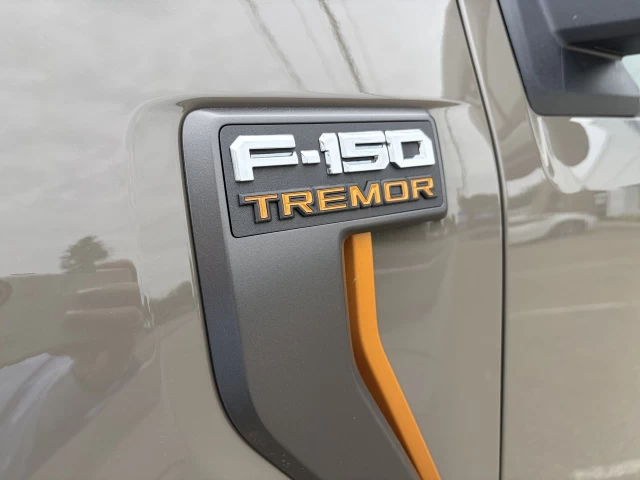 Ford F-150 TREMOR ENSEMBLE REMORQUAGE TRACTION 4X4 ECOBOOST TOIT OUVRANT 401A 2026