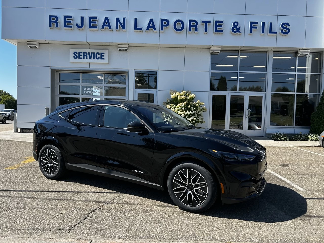2025 Ford Mustang Mach-E PREMIUM AWD https://www.st-norbertford.com/resize/b990ff35b810a3abc0cc817b2ca24889-1