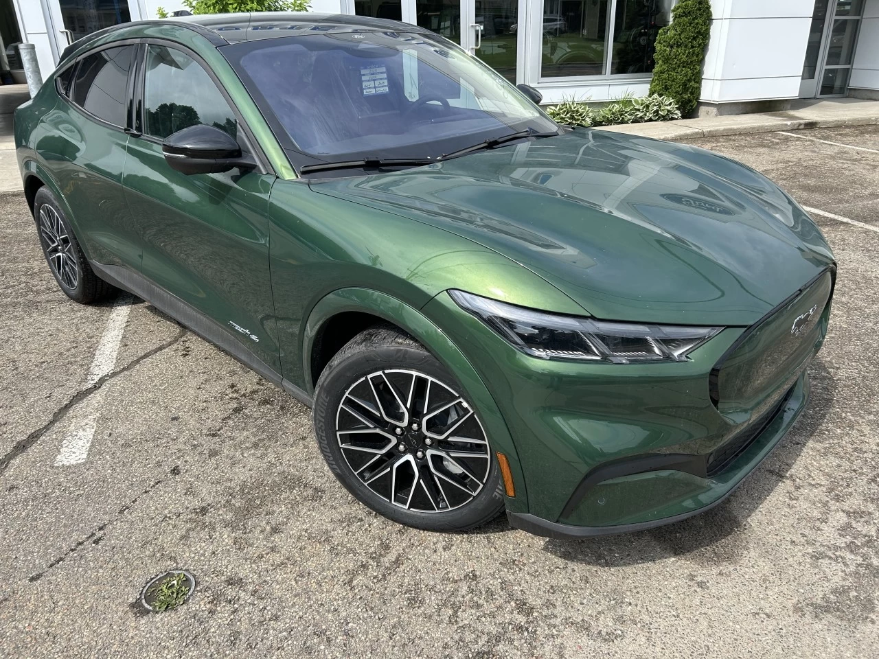2025 Ford Mustang Mach-E PREMIUM AWD https://www.st-norbertford.com/resize/b990ff35b810a3abc0cc817b2ca24889-1