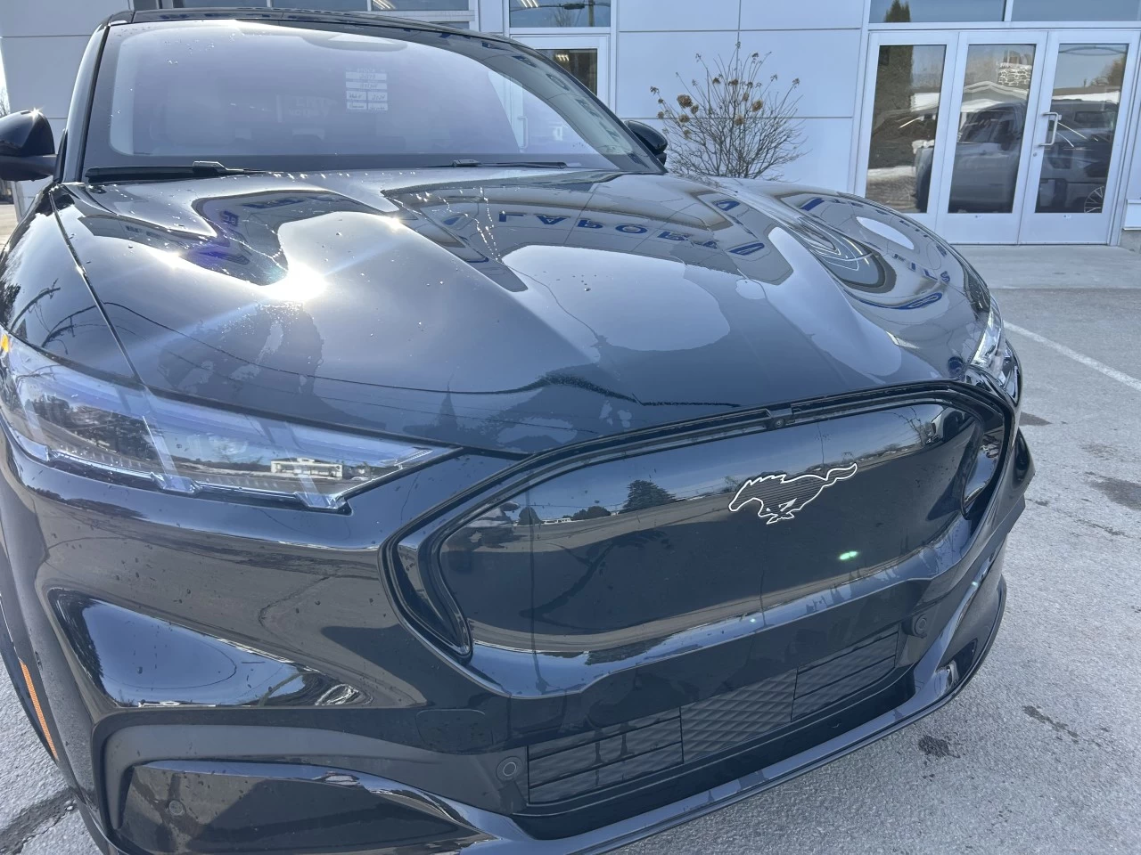 2024 Ford Mustang Mach-E PREMIUM AWD https://www.st-norbertford.com/resize/b990ff35b810a3abc0cc817b2ca24889-1