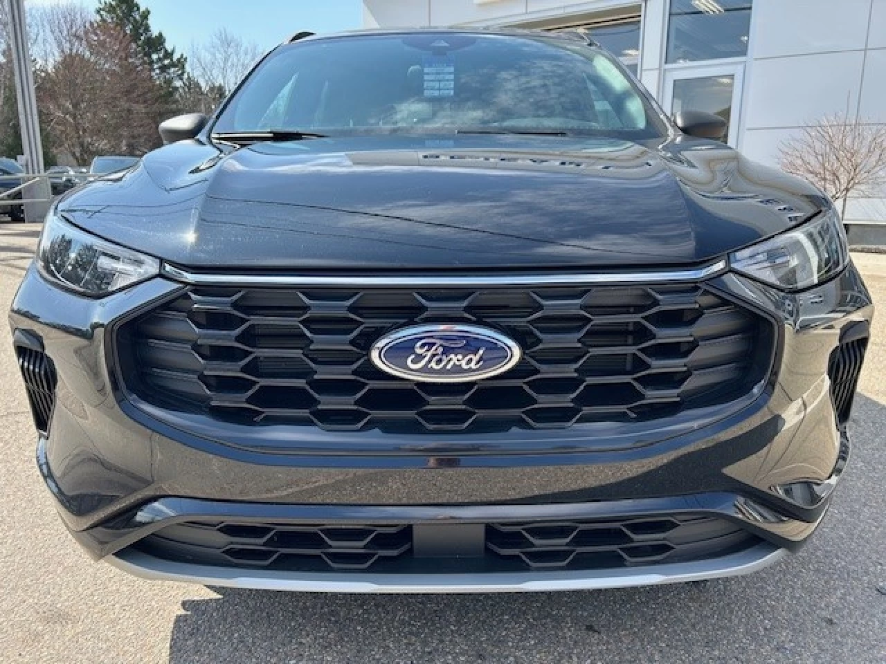 2023 Ford Escape ST-Line Main Image