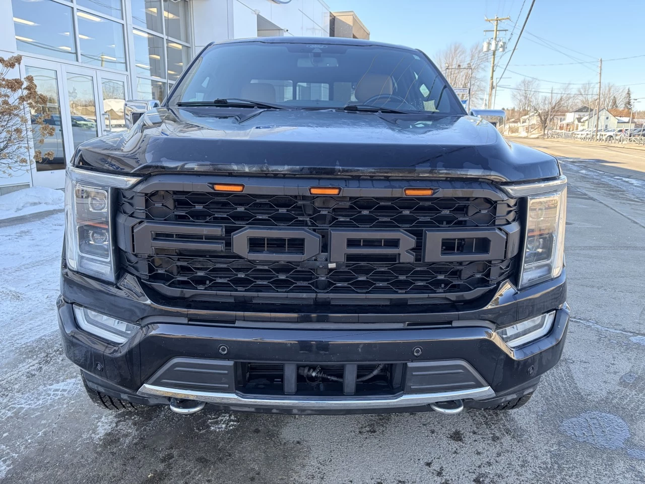 2021 Ford F-150 PLATINUM 701A HYBRIDE CUIR ENSEMBLE REMORQUAGE https://www.st-norbertford.com/resize/b990ff35b810a3abc0cc817b2ca24889-1
