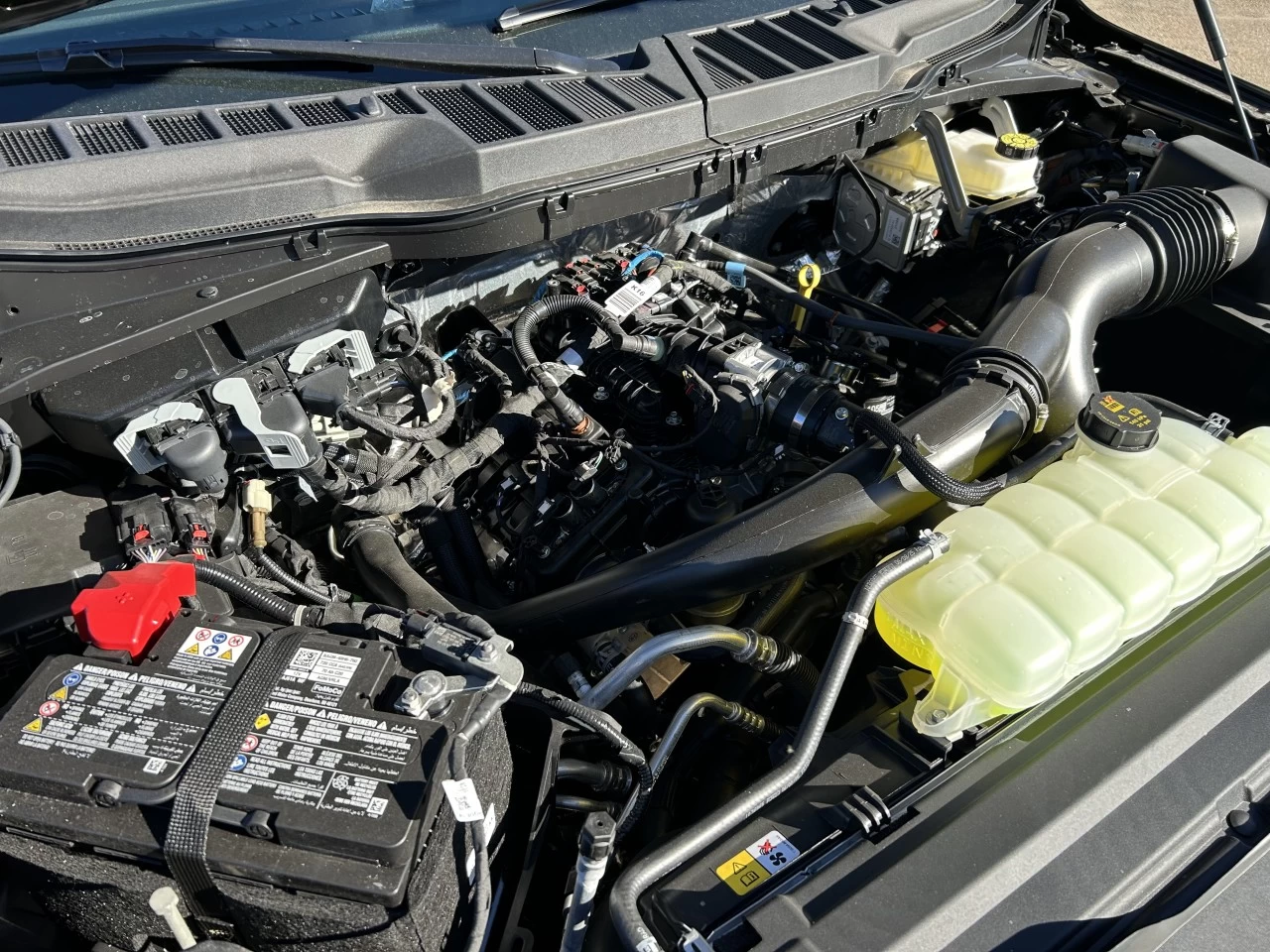 2025 Ford F-150 STX Image principale