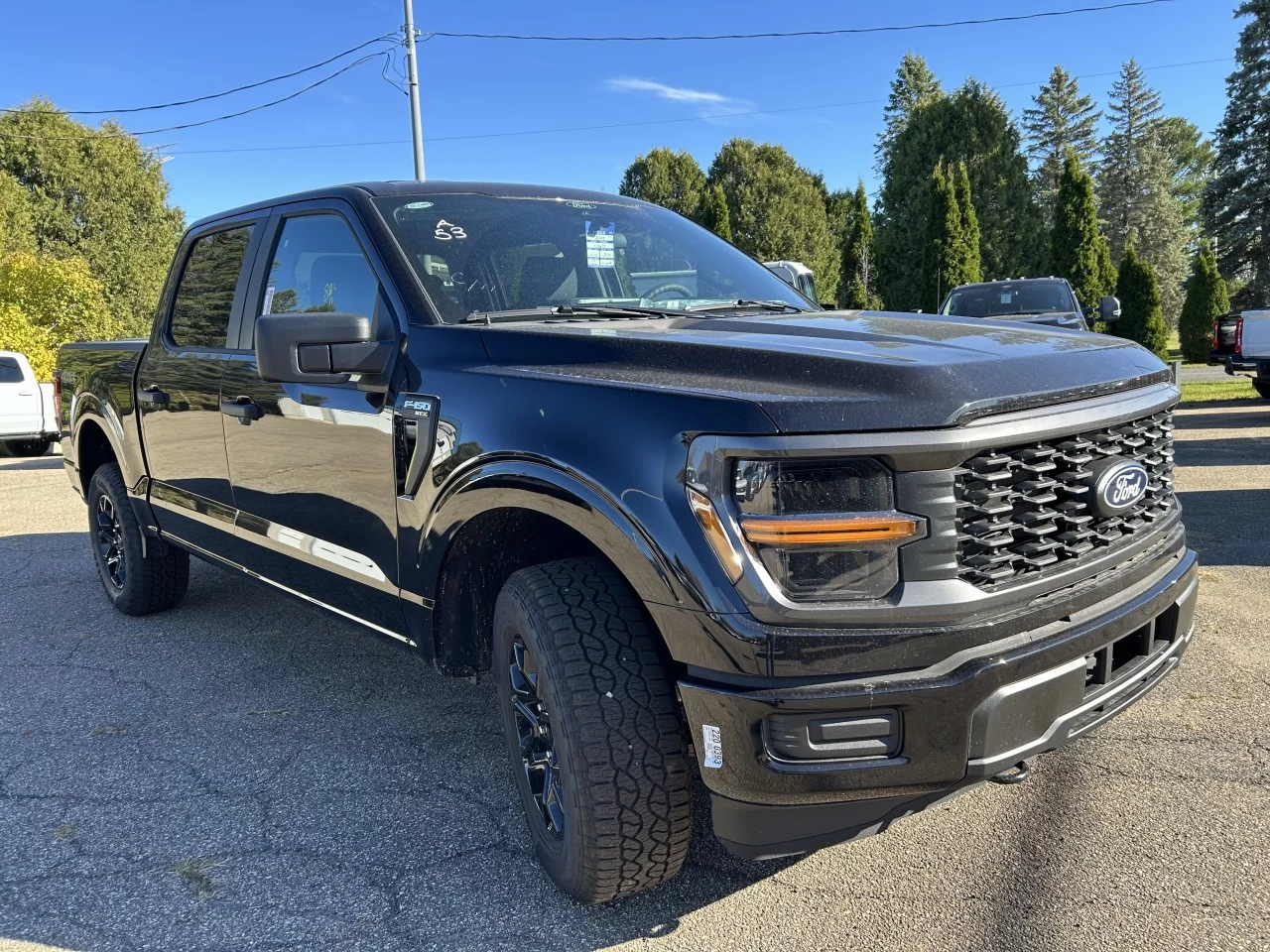 2025 Ford F-150 STX Image principale
