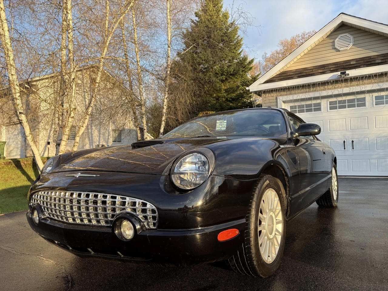 2005 Ford Thunderbird Cuir Main Image