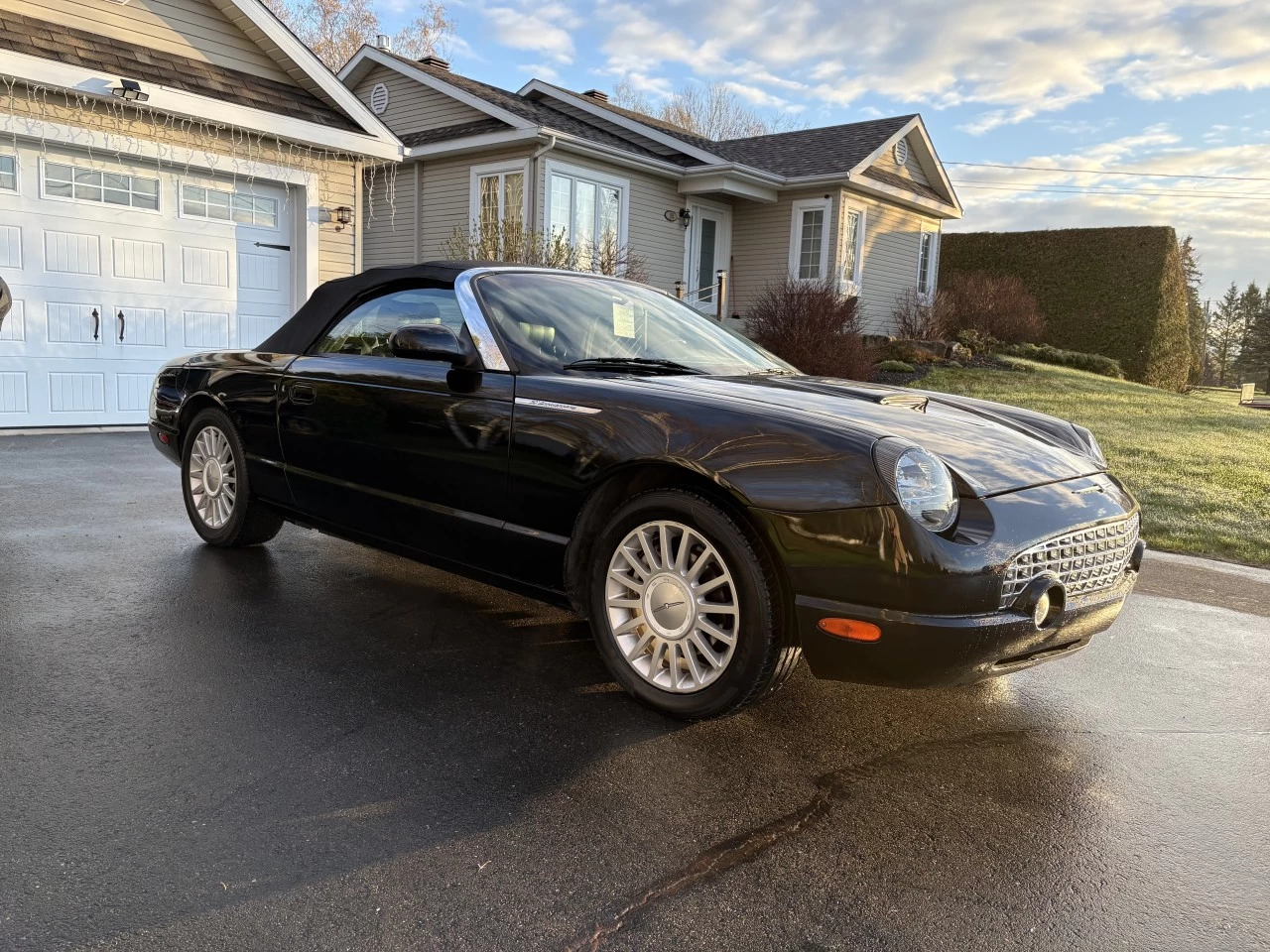 2005 Ford Thunderbird Cuir Main Image