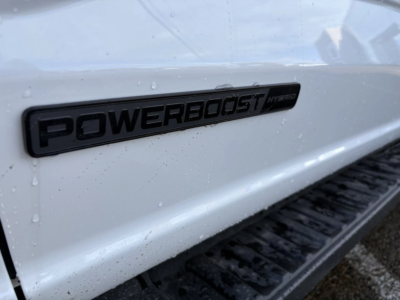 2026 Ford F-150 XLT Main Image