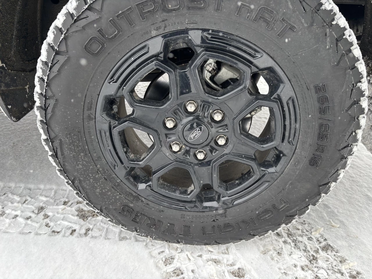 2025 Ford Ranger XLT Main Image