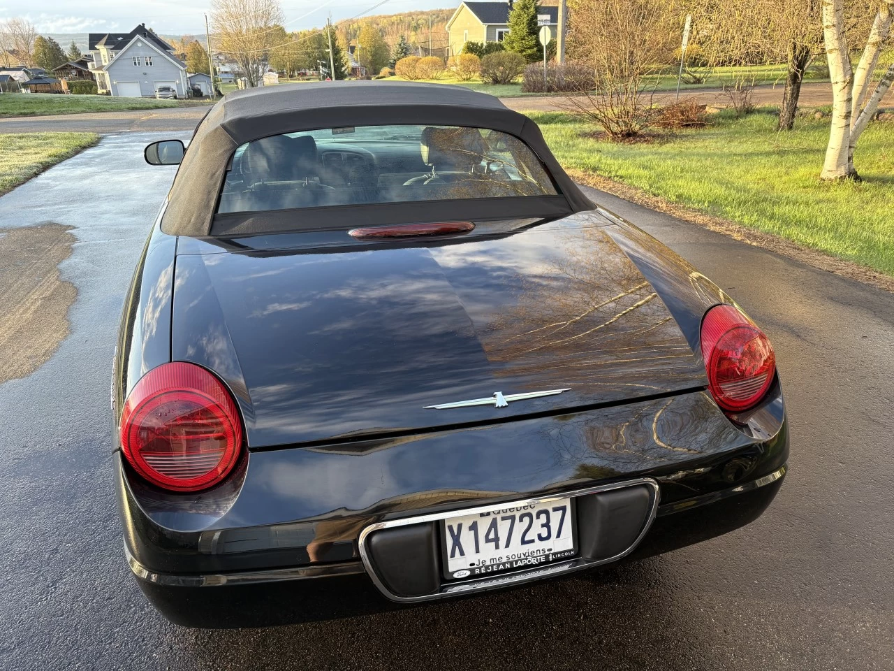 2005 Ford Thunderbird Cuir Main Image