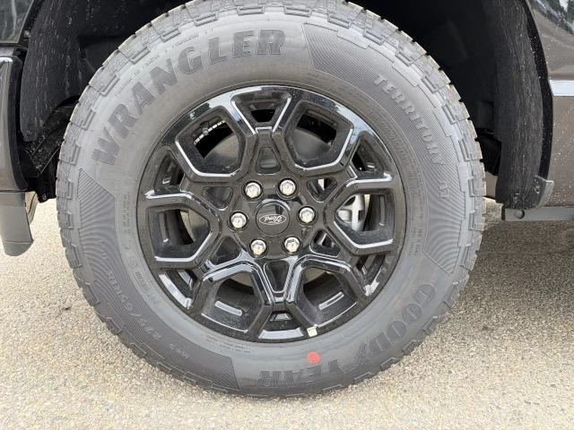 Ford F-150 XLT ECOBOOST 302A 2026