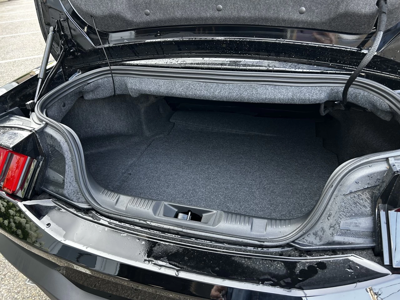 2025 Ford Mustang EcoBoost Main Image