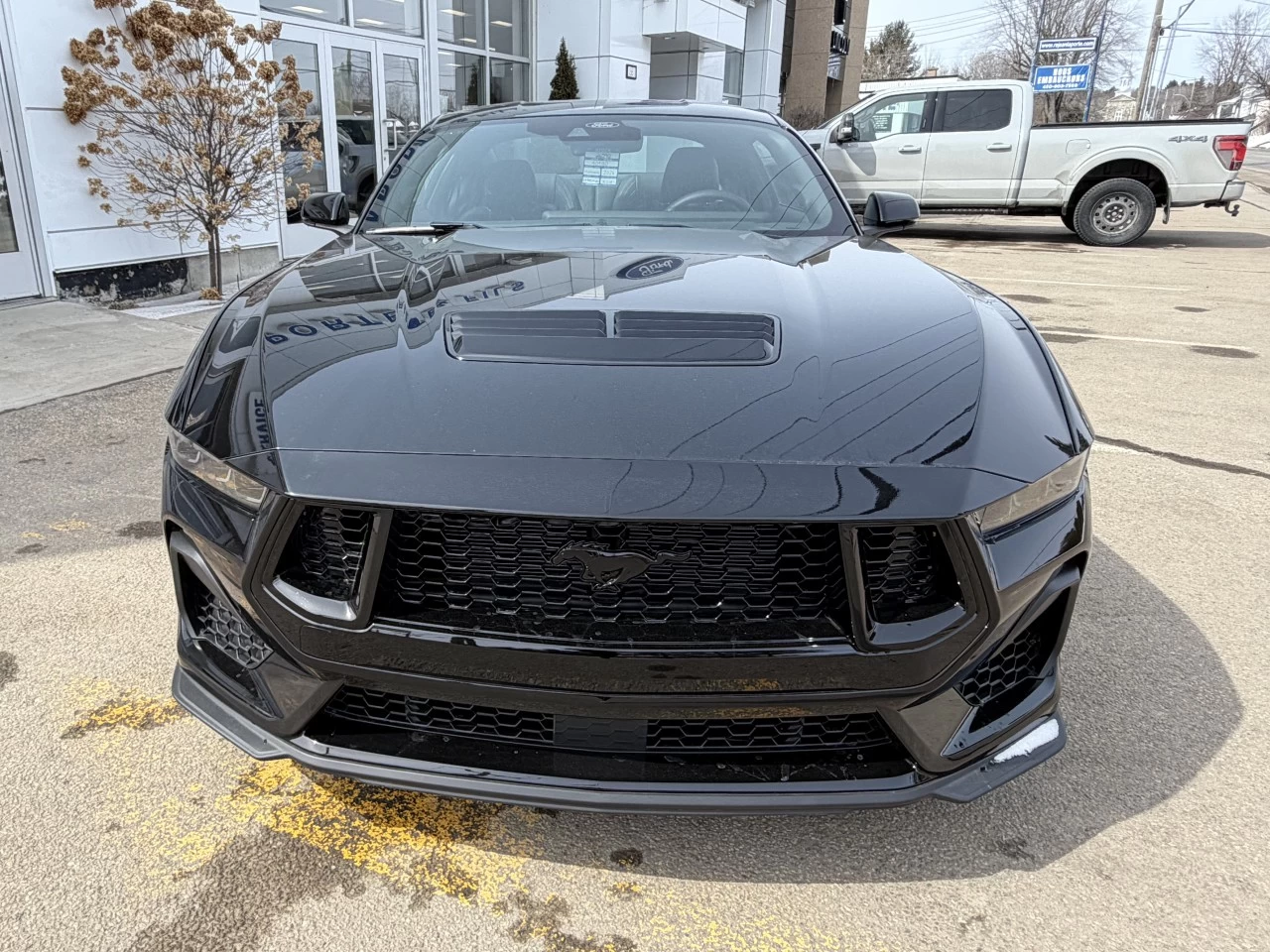 2026 Ford Mustang GT https://www.st-norbertford.com/resize/b990ff35b810a3abc0cc817b2ca24889-1