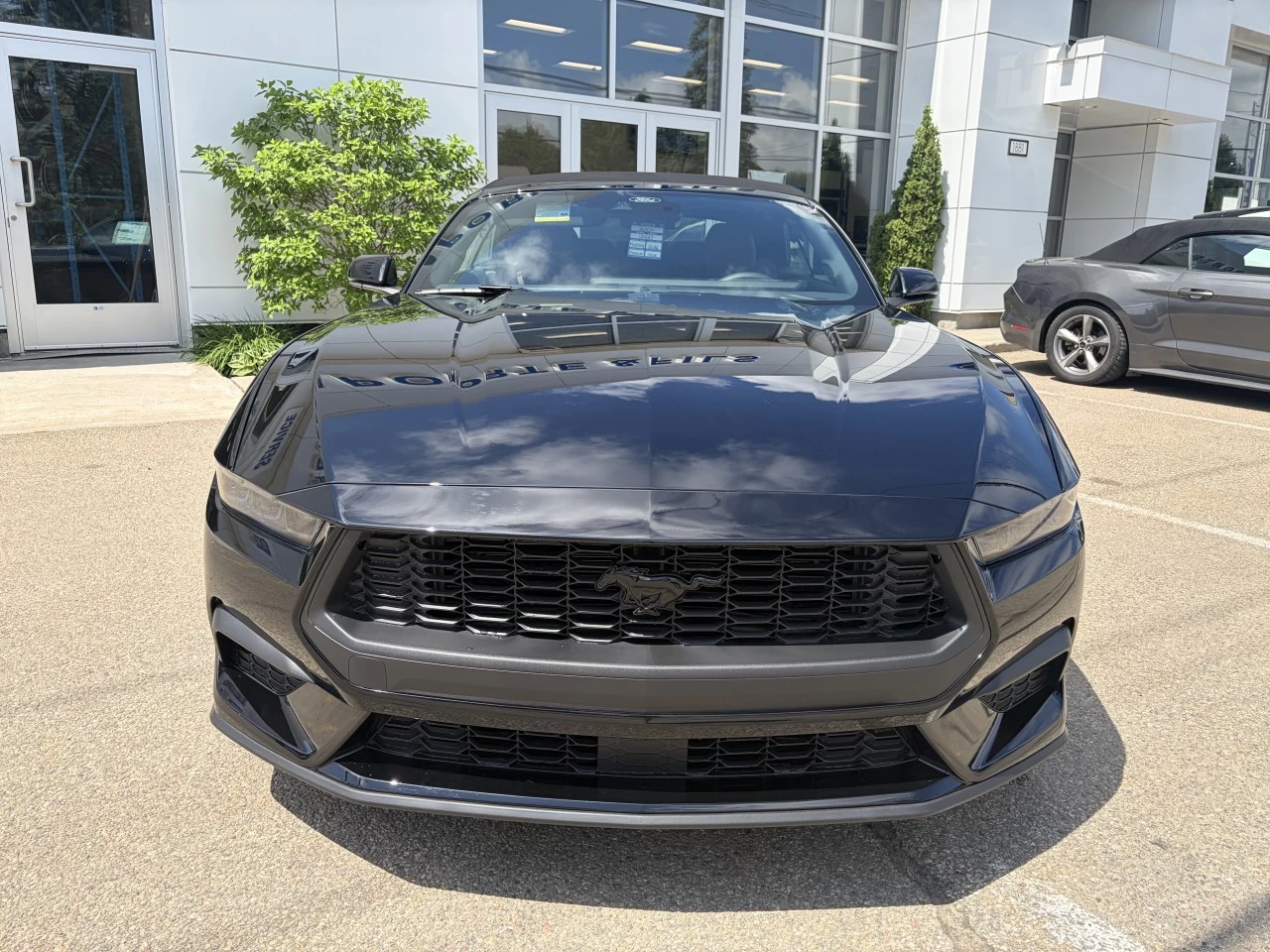 2026 Ford Mustang EcoBoost https://www.st-norbertford.com/resize/b990ff35b810a3abc0cc817b2ca24889-1