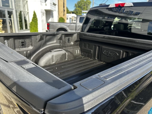 Ford F-150 Lightning FLASH 2025