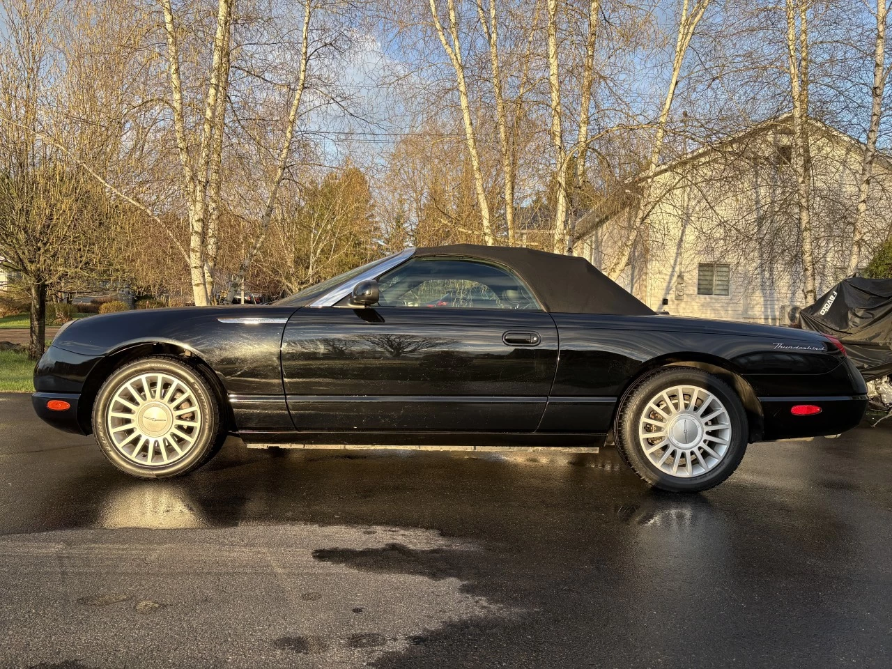 2005 Ford Thunderbird Cuir Main Image