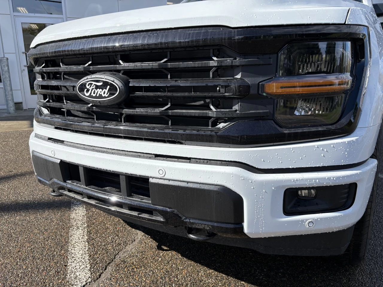 2026 Ford F-150 XLT Main Image