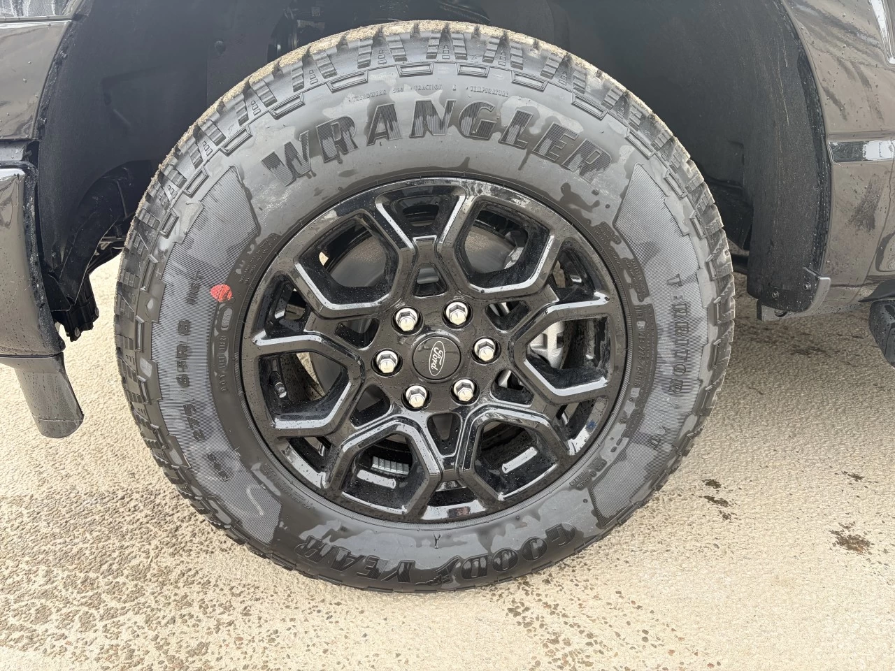 2026 Ford F-150 XLT https://www.st-norbertford.com/resize/b990ff35b810a3abc0cc817b2ca24889-1