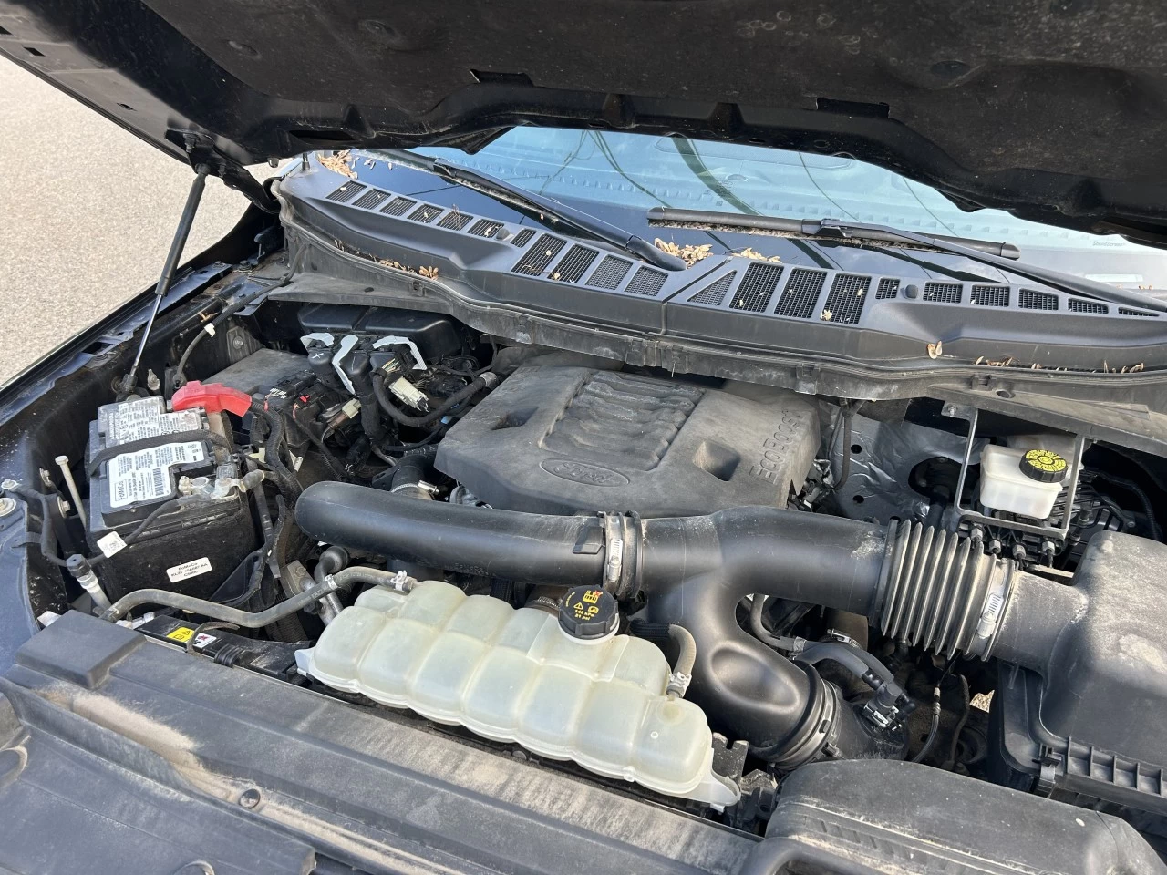 2021 Ford F-150 XLT Image principale