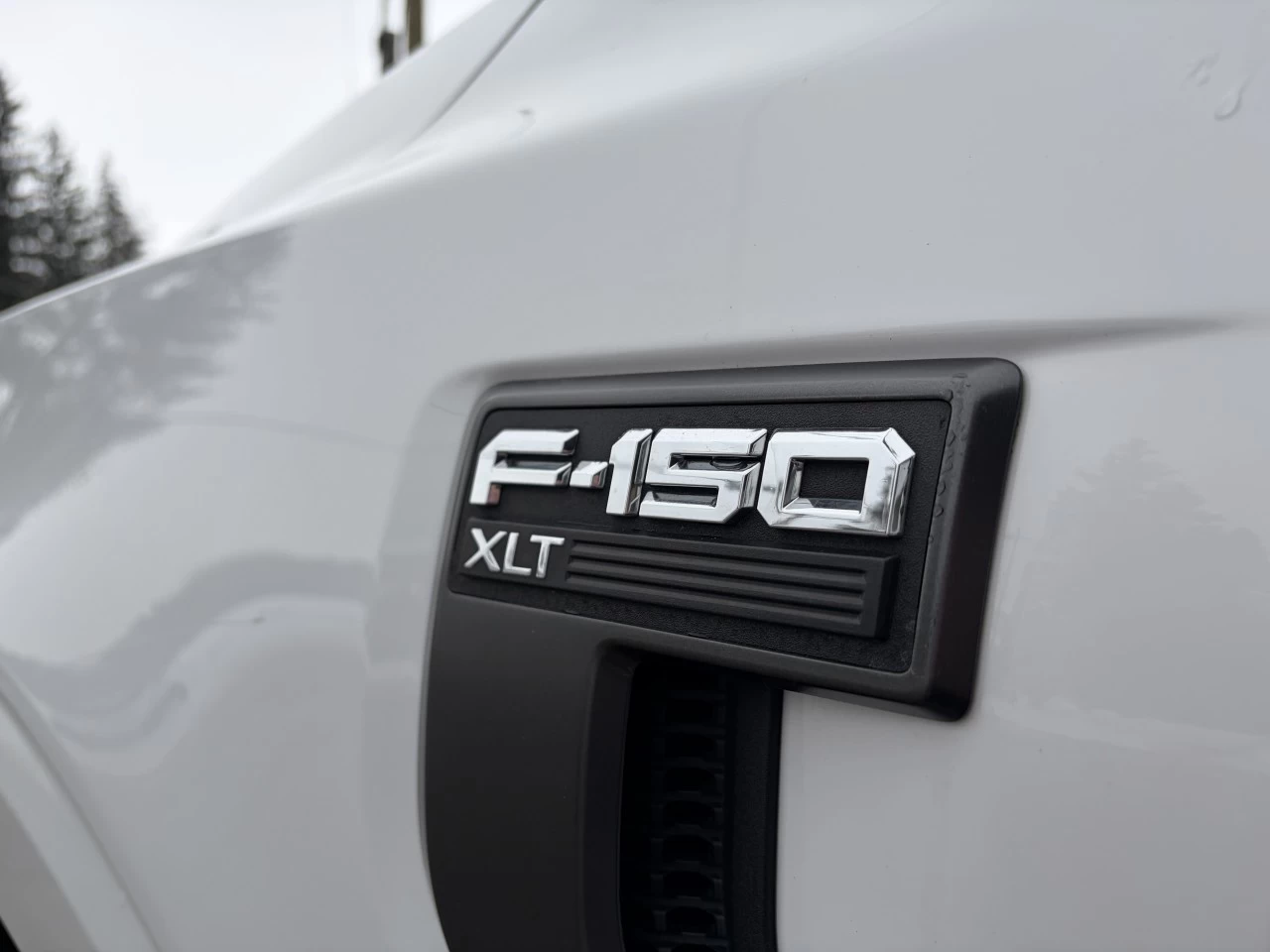 2021 Ford F-150 XLT 3.5L ECOBOOST 302A FX4 ÉCRAN 12 PO CARPLAY ANDROID AUTO SIEGES CHAUFFANTS Image principale