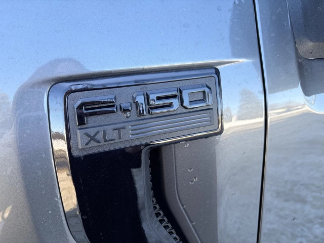 Ford F-150 XLT 303A 2026