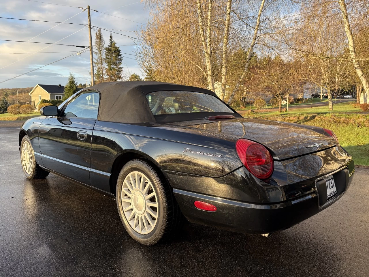 2005 Ford Thunderbird Cuir Main Image