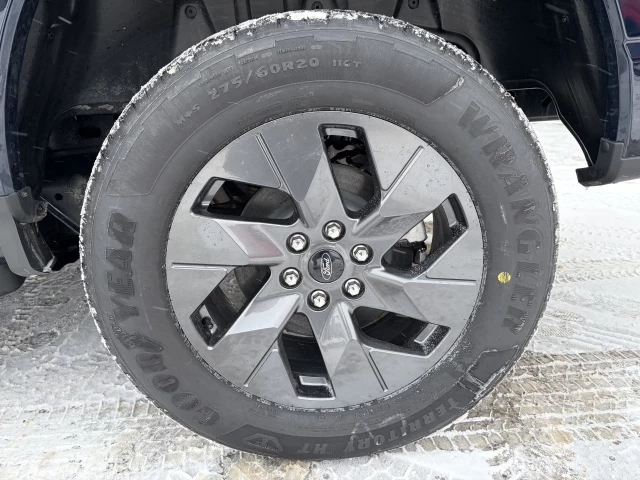 Ford F-150 Lightning FLASH 2025