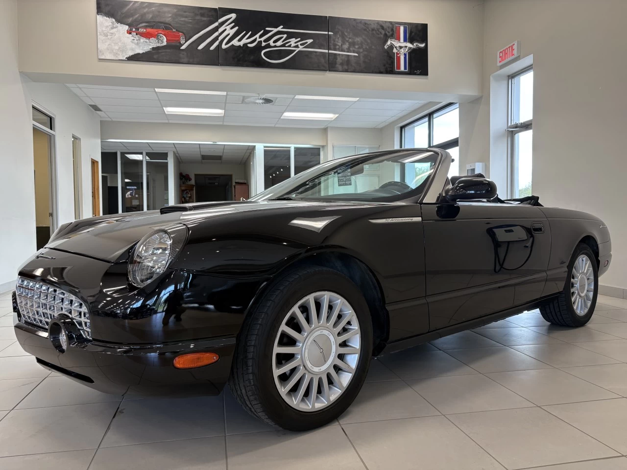 2005 Ford Thunderbird Cuir Main Image