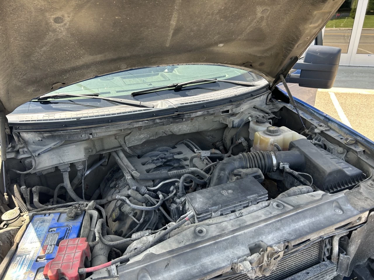 2011 Ford F-150 XLT Main Image