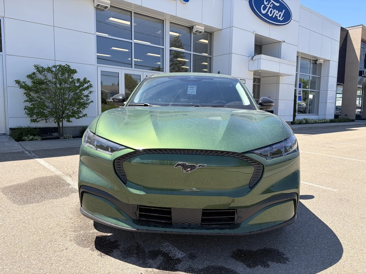 2026 Ford Mustang Mach-E SELECT AWD 73 KWH BANC CHAUFFANT https://www.st-norbertford.com/resize/b990ff35b810a3abc0cc817b2ca24889-1