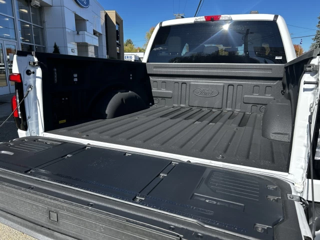 Ford F-150 Lightning FLASH 2025