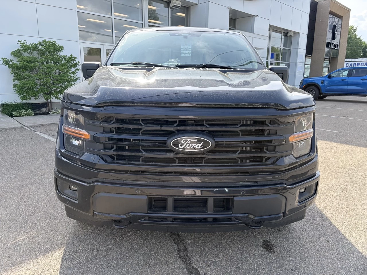 2026 Ford F-150 XLT 4X4 SUPERCREW ECOBOOST https://www.st-norbertford.com/resize/b990ff35b810a3abc0cc817b2ca24889-1
