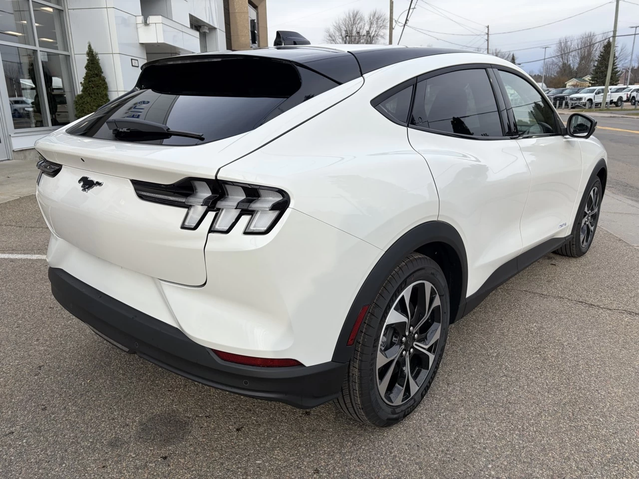 2025 Ford Mustang Mach-E SELECT AWD https://www.st-norbertford.com/resize/b990ff35b810a3abc0cc817b2ca24889-1