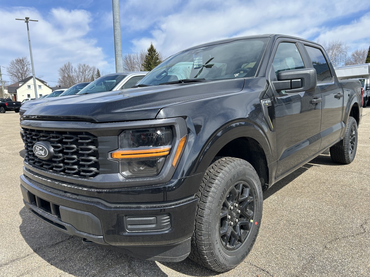 Ford 2025 F-150 STX
