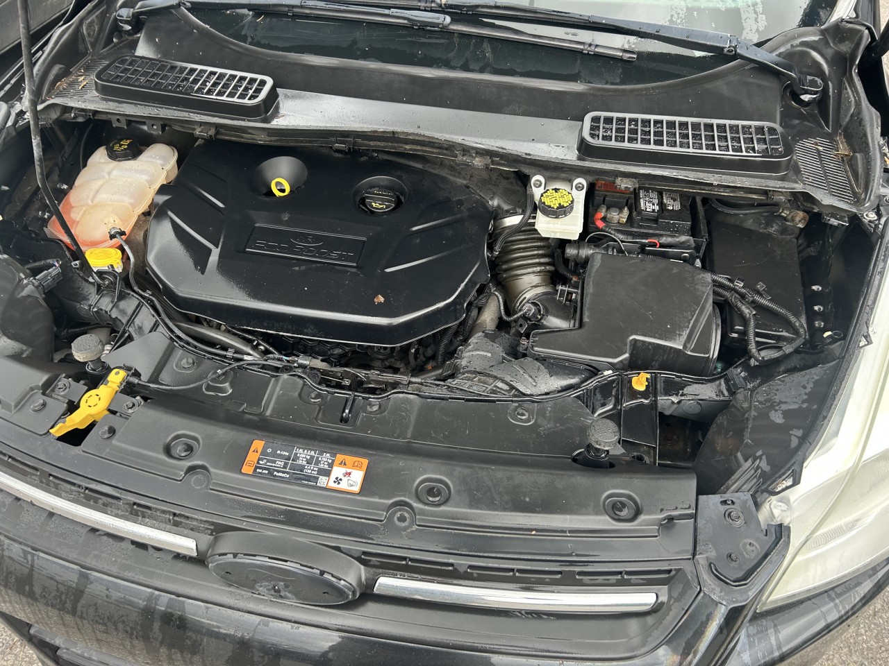 2015 Ford Escape SE Main Image