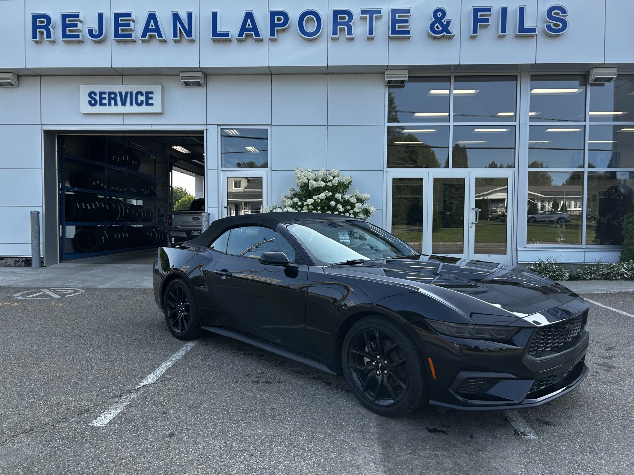 Ford 2025 Mustang EcoBoost
